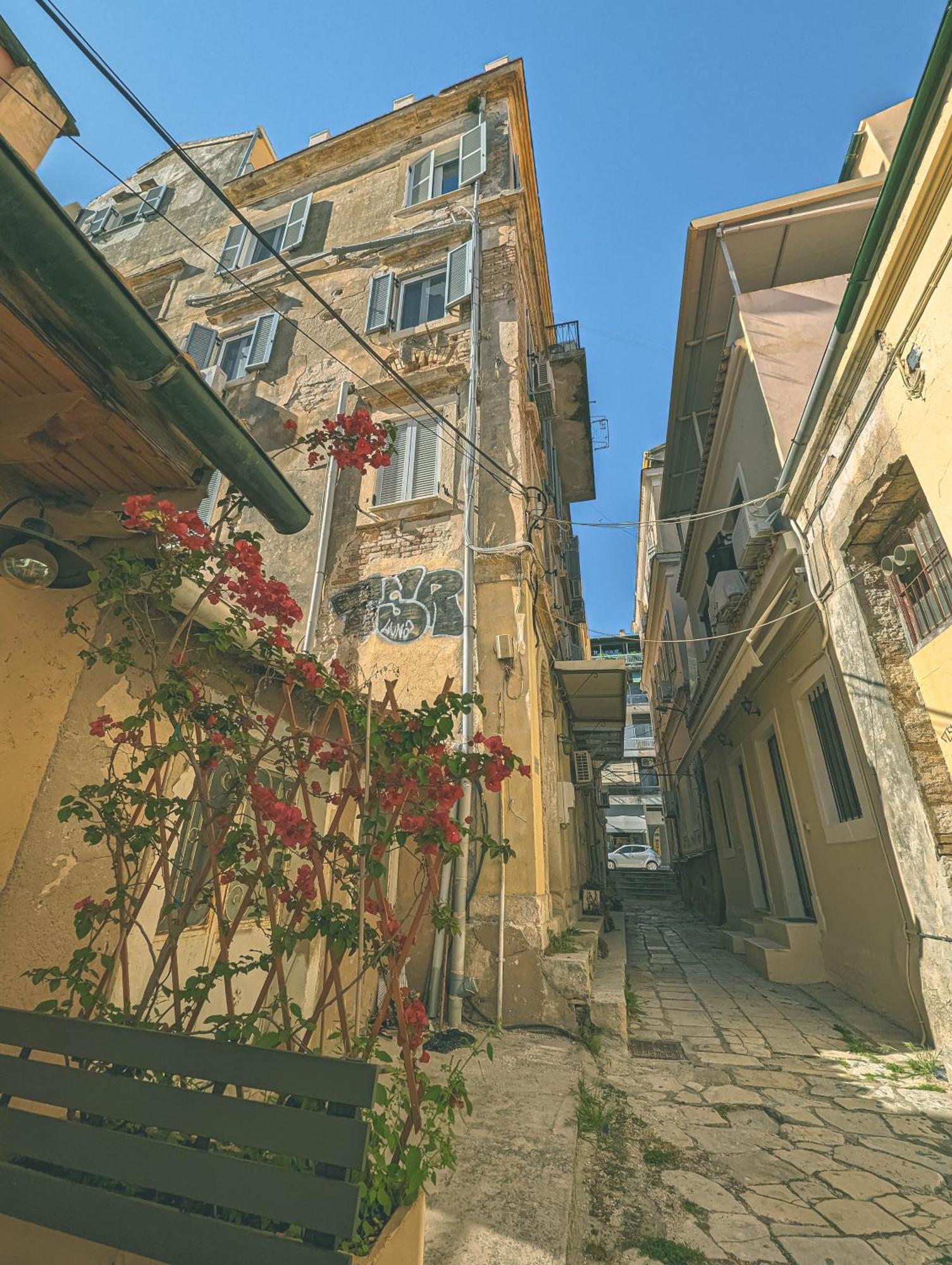 Ionian Pearl Apartments And Suites Corfu  Extérieur photo
